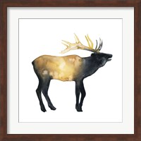 Elk Aglow II Fine Art Print