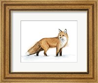 Snow Fox I Fine Art Print