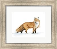 Snow Fox I Fine Art Print