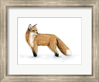 Snow Fox II Fine Art Print