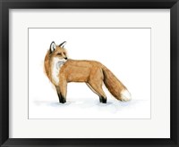Snow Fox II Fine Art Print
