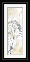 Wildflower Line Contour II Framed Print
