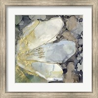 Abstracted Lily II Fine Art Print