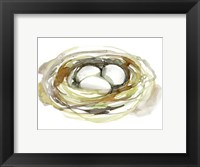 Watercolor Nest I Fine Art Print