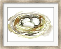 Watercolor Nest I Fine Art Print