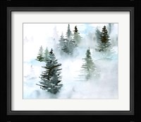 Foggy Evergreens I Fine Art Print
