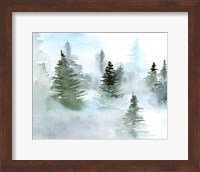 Foggy Evergreens II Fine Art Print