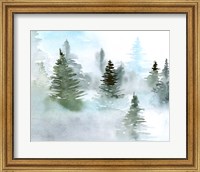 Foggy Evergreens II Fine Art Print