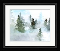 Foggy Evergreens II Fine Art Print