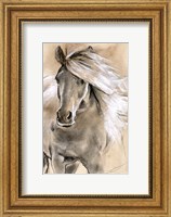 Sketched Horse I Fine Art Print