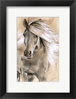 Sketched Horse I Fine Art Print