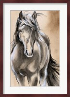 Sketched Horse II Fine Art Print