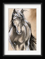 Sketched Horse II Fine Art Print