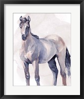 Horse in Watercolor II Framed Print