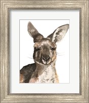 Kangaroo Portrait I Fine Art Print
