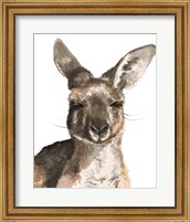 Kangaroo Portrait I Fine Art Print