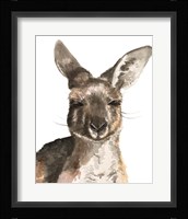 Kangaroo Portrait I Fine Art Print