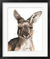 Kangaroo Portrait I Framed Print