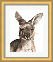 Kangaroo Portrait I Fine Art Print