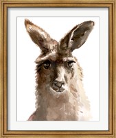 Kangaroo Portrait II Fine Art Print