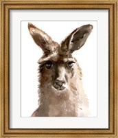 Kangaroo Portrait II Fine Art Print