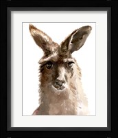Kangaroo Portrait II Fine Art Print