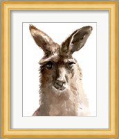 Kangaroo Portrait II Fine Art Print