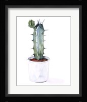Sharp Succulents I Framed Print