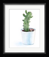 Sharp Succulents II Framed Print
