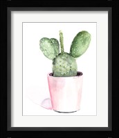 Sharp Succulents III Framed Print