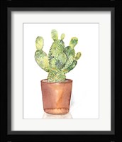 Sharp Succulents IV Framed Print