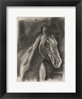 Charcoal Horse Study on Grey I Fine Art Print