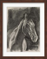 Charcoal Horse Study on Grey I Fine Art Print
