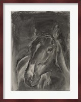 Charcoal Horse Study on Grey II Fine Art Print