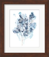 Bluescale Flora I Fine Art Print