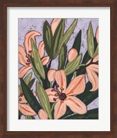 Island Lily II Fine Art Print