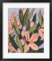 Island Lily II Framed Print