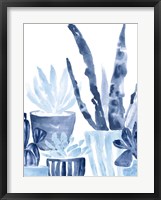 Indigo Succulent III Fine Art Print