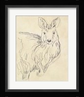 Outback Sketch III Framed Print