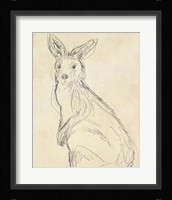Outback Sketch IV Framed Print