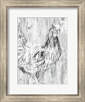 Barnwood Flock I Fine Art Print