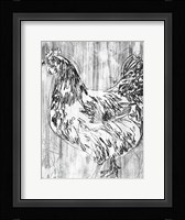 Barnwood Flock IV Framed Print