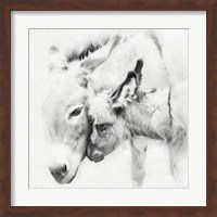 Donkey Portrait III Fine Art Print