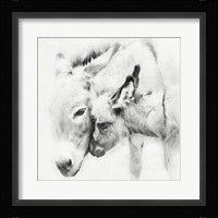 Donkey Portrait III Fine Art Print