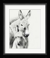 Donkey Portrait V Fine Art Print