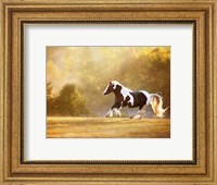 Golden Lit Horse II Fine Art Print