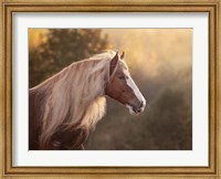 Golden Lit Horse V Fine Art Print