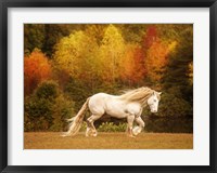 Golden Lit Horse VI Fine Art Print