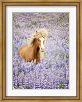 Horse in Lavender I Fine Art Print