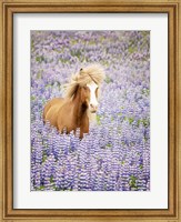 Horse in Lavender I Fine Art Print